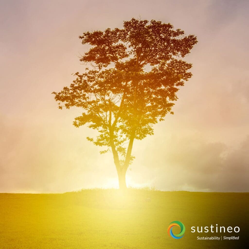 1200x1200-sustineo-social-post-earth-day