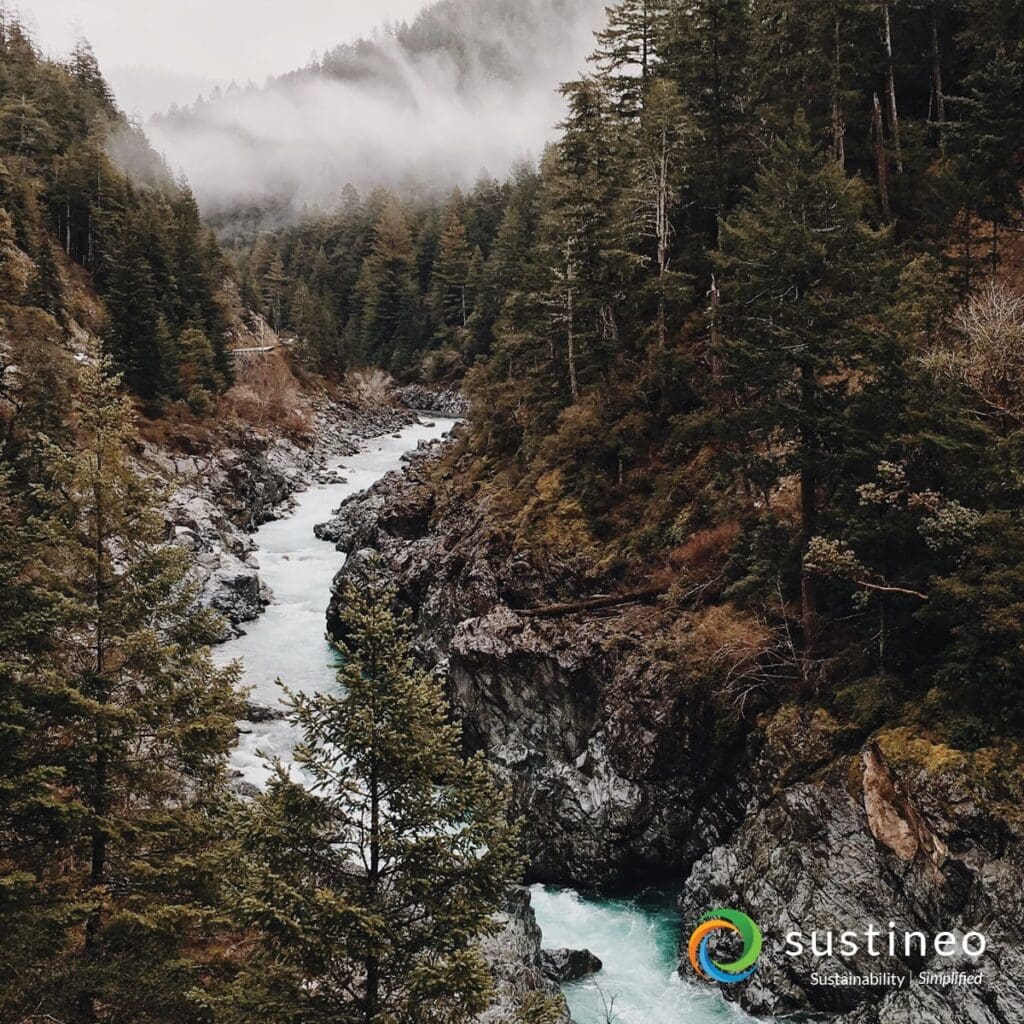 1200x1200-sustineo-social-post-river-wood