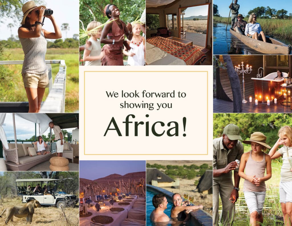 wild-elegance-presentation-slides-FINAL12