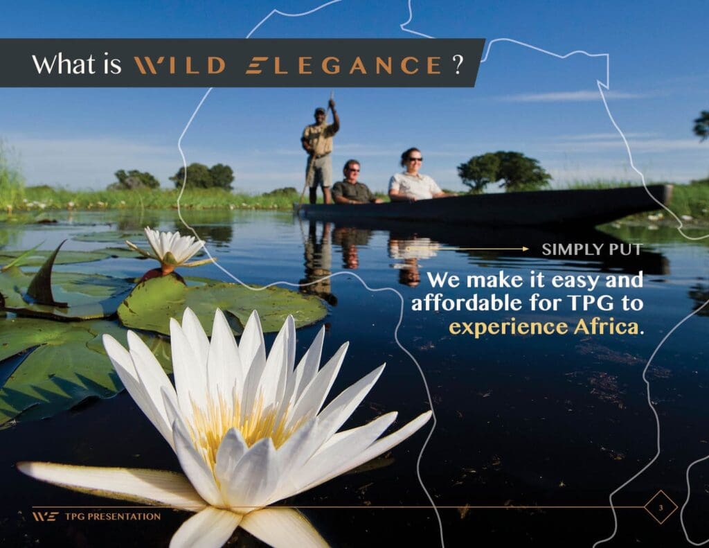 wild-elegance-presentation-slides-FINAL3