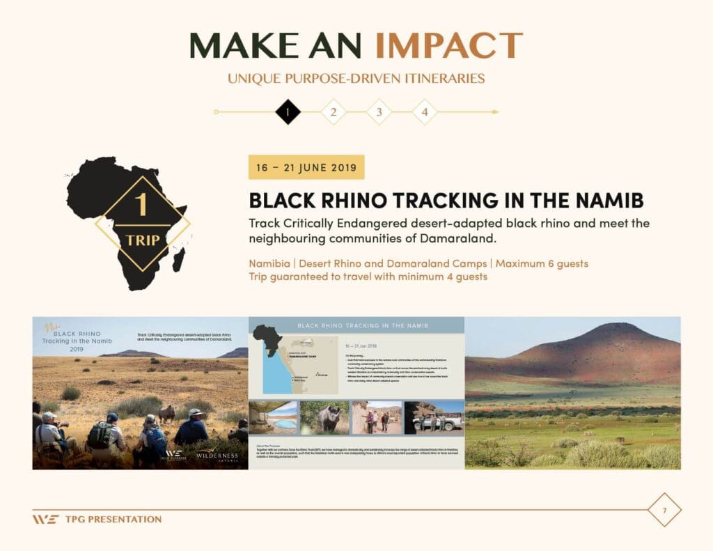 wild-elegance-presentation-slides-FINAL7