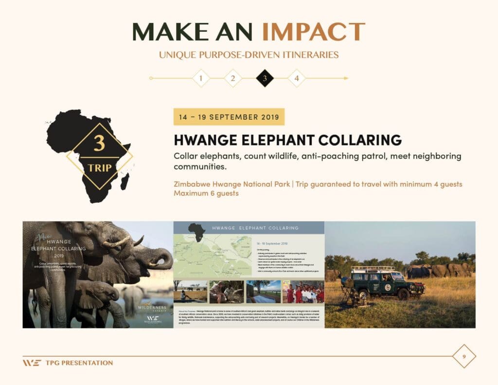 wild-elegance-presentation-slides-FINAL9