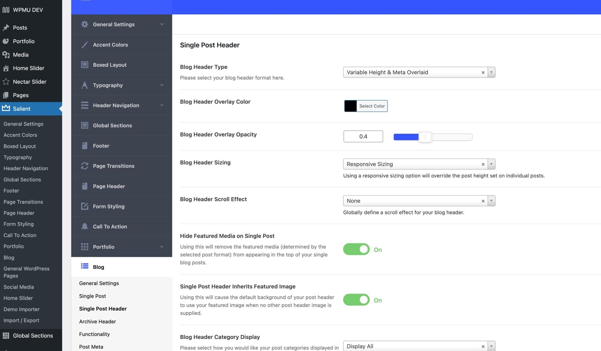 Salient WordPress Theme Blog Options