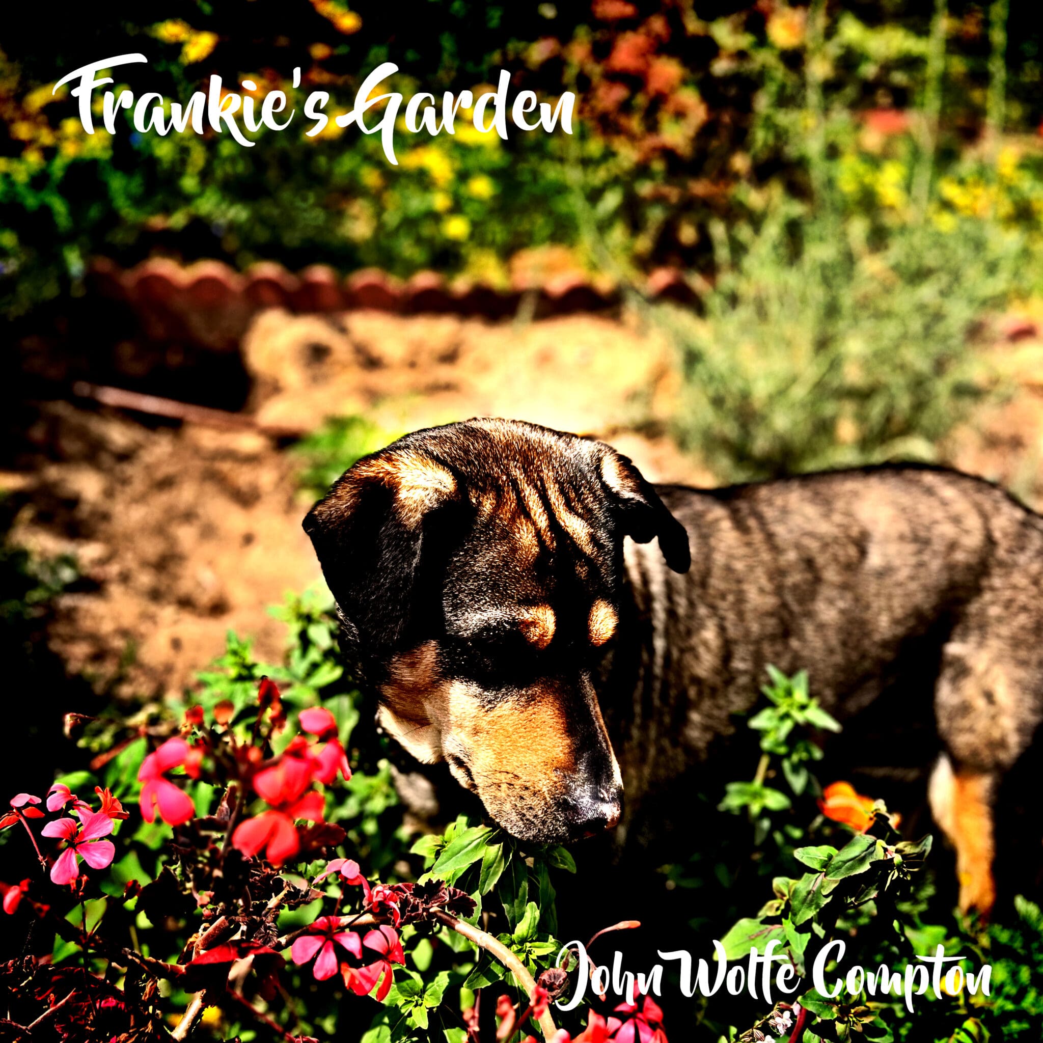 Frankie’s Garden